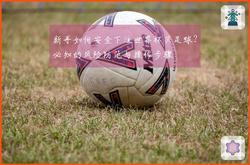 新手如何安全下注世界杯买足球？必知的风险防范与操作步骤